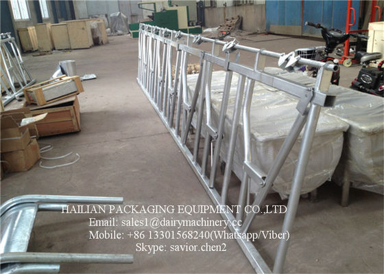 Cattle crush Head Lock Farm Equipment Hot-galvanized Steel Pipe