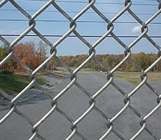 commercial galvanized iron wire Mesh pvc coated garden diamond fencing